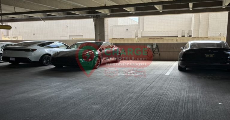 IMG 6280 1 768x403